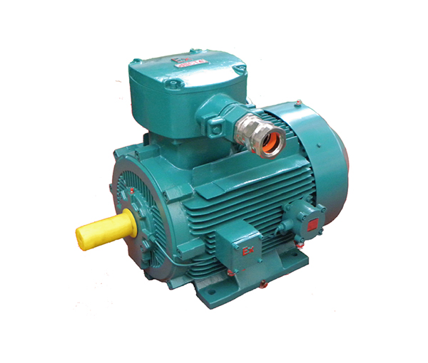 天津防爆電機(jī)